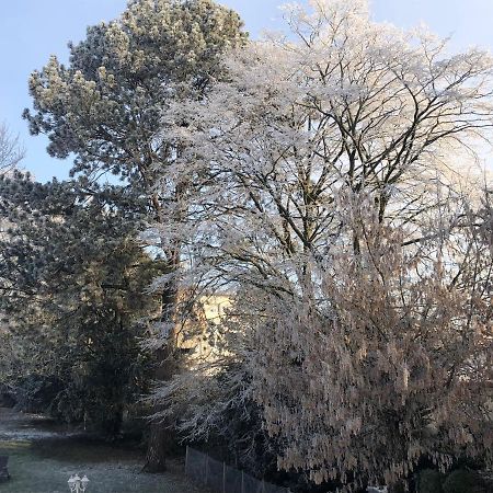 לינה וארוחת בוקר Le Jardin De Fresnes מראה חיצוני תמונה